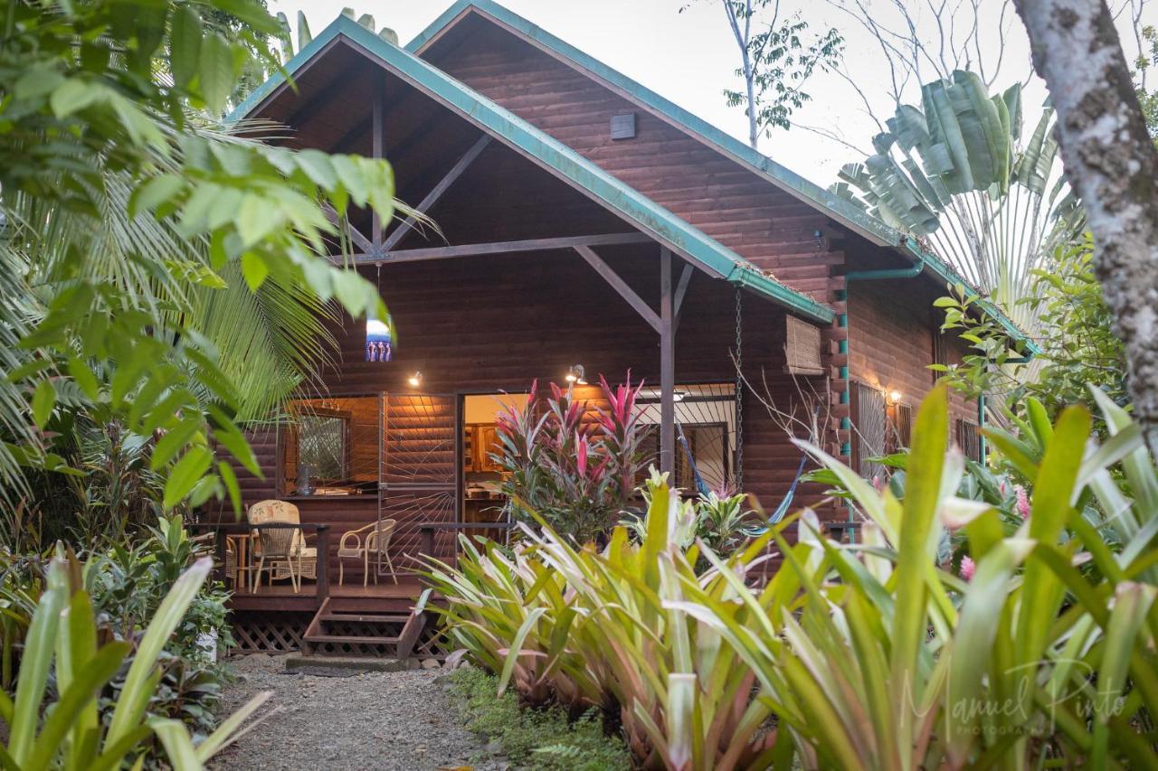 فيلا Casa Ylang In Black Sand Beach Puerto Viejo de Talamanca المظهر الخارجي الصورة