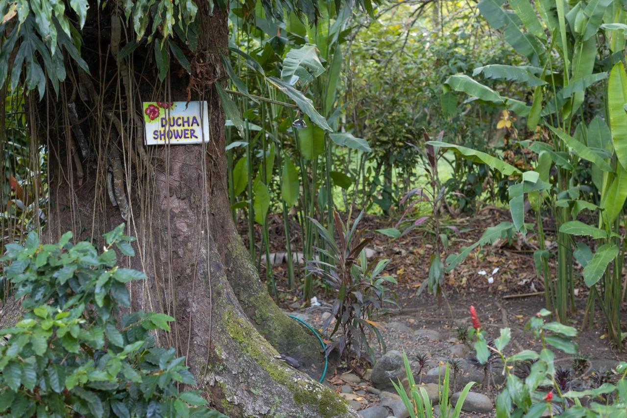 فيلا Casa Ylang In Black Sand Beach Puerto Viejo de Talamanca المظهر الخارجي الصورة
