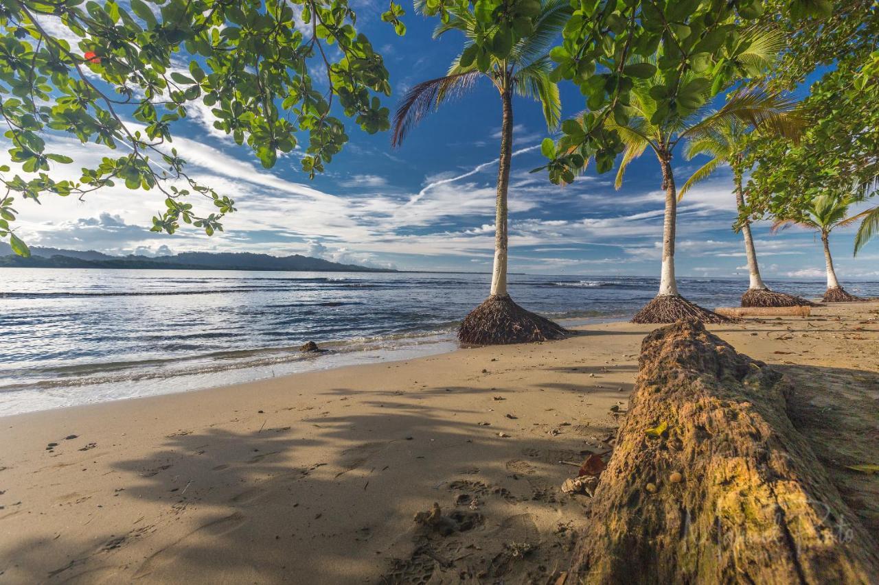 فيلا Casa Ylang In Black Sand Beach Puerto Viejo de Talamanca المظهر الخارجي الصورة