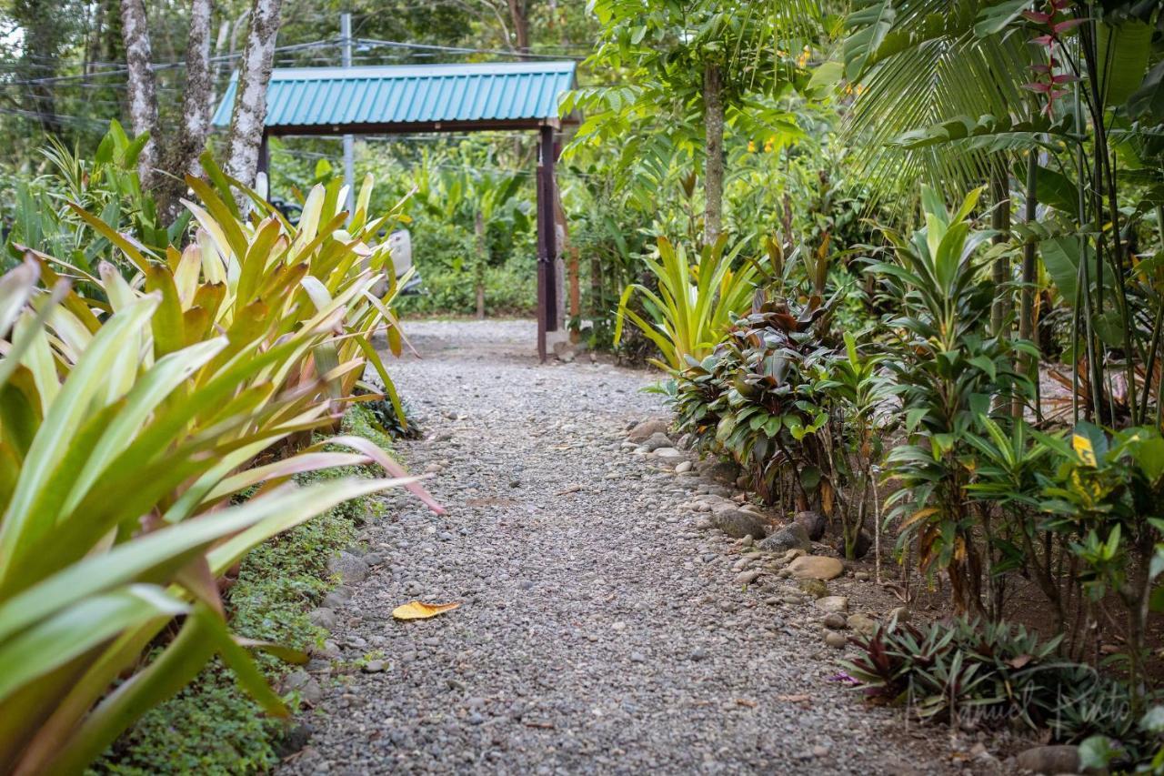 فيلا Casa Ylang In Black Sand Beach Puerto Viejo de Talamanca المظهر الخارجي الصورة